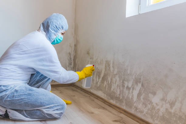 Licensed Hvac And Air Duct Mold Remediation service in Bayonne, NJ - Mold Remediation HQ
