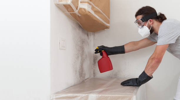 Professional Hvac And Air Duct Mold Remediation technician working in Bayonne, NJ